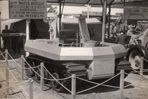 The Water Buffalo The Water Buffalo